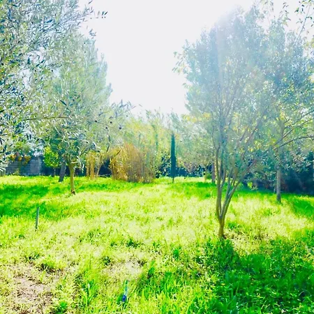 Camping Roulotte Pleine Nature *